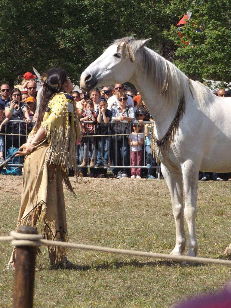 13064649_1008858552484595_3843473671312119481_o