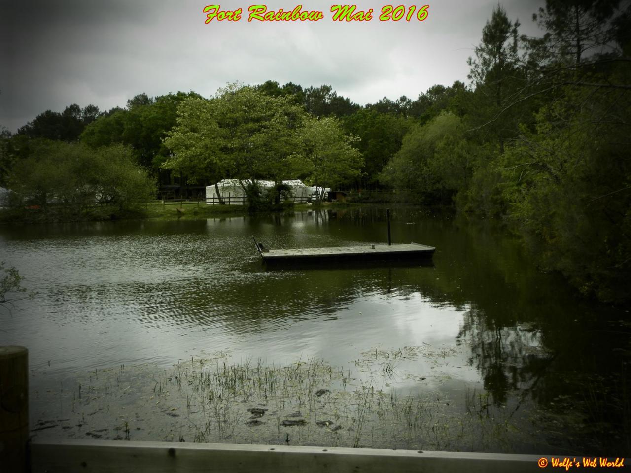 13116335_10209612833506702_690291672048234657_o