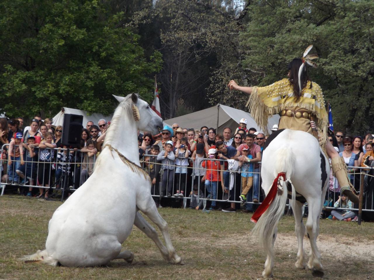 13217122_1008831465820637_1086995540263684417_o