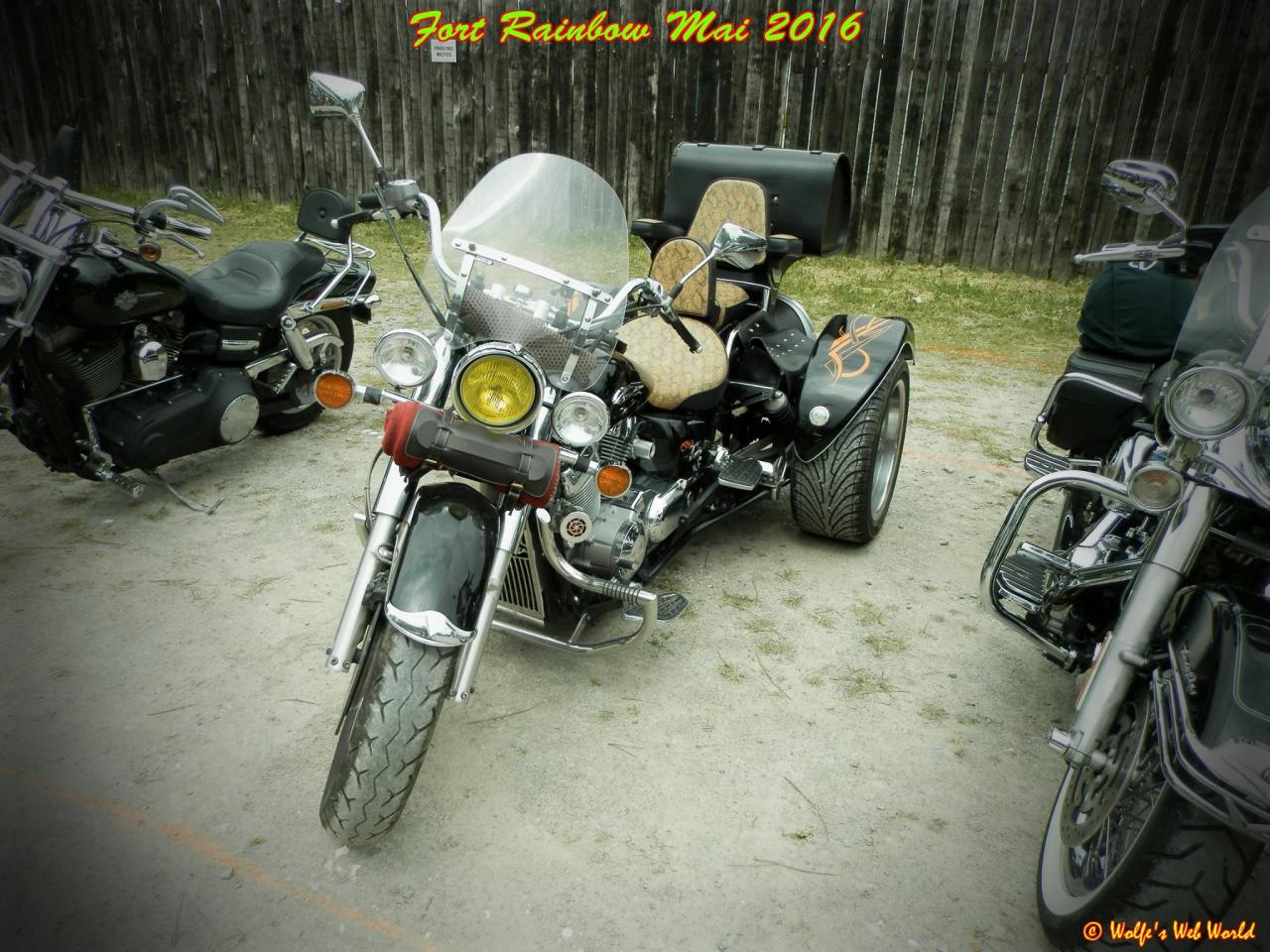 13217209_10209622120858880_8249516558773770273_o