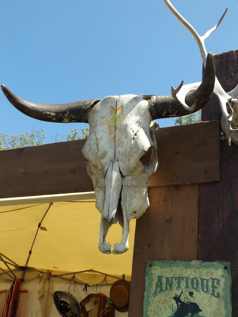 13217222_1008822995821484_1708542543427615952_o