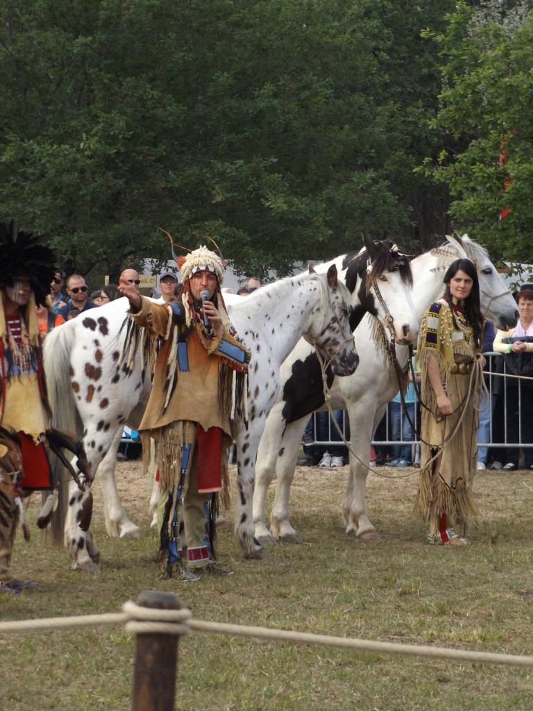 13217392_1008832259153891_8567244481165825207_o