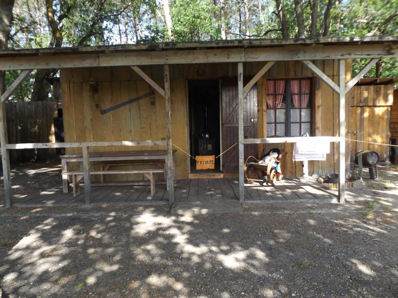 13217612_1008817472488703_8544882642325181113_o