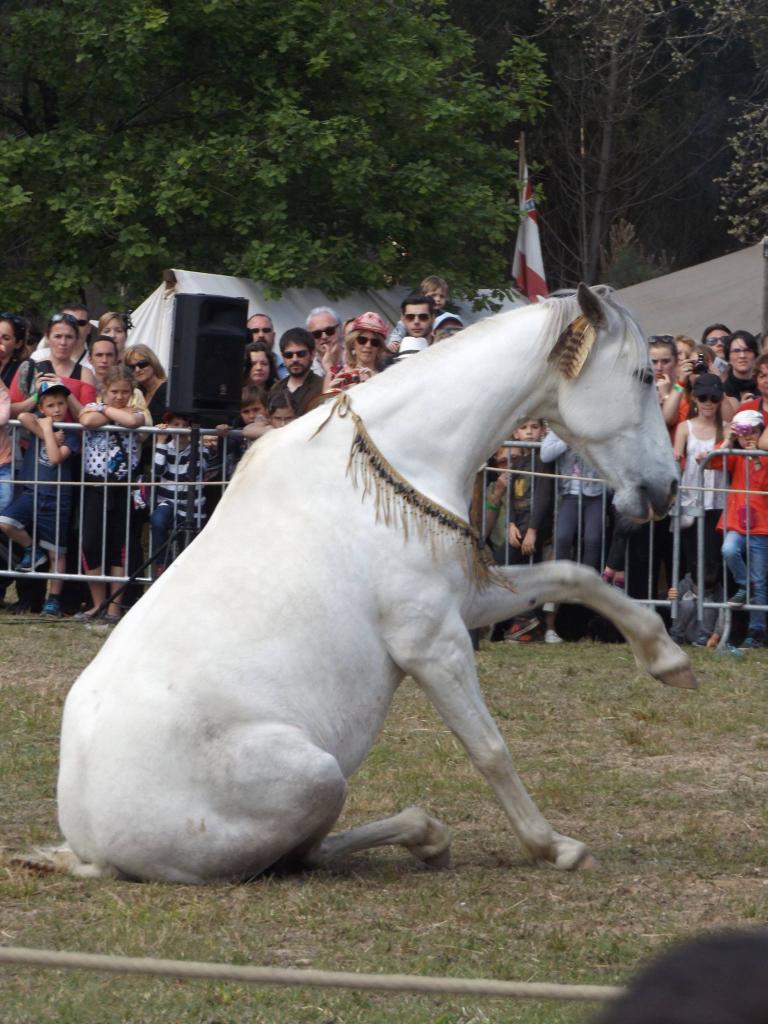 13220631_1008831539153963_7314779036761172851_o