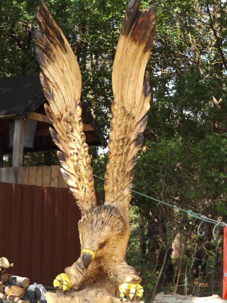 13221168_1008818119155305_4856928071957864846_o