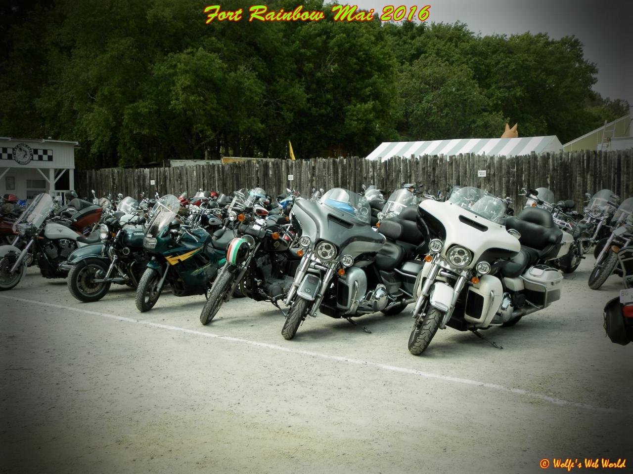 13221352_10209622146859530_5212134788919768701_o