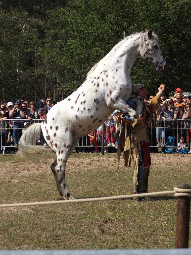 13221374_1008858419151275_330154001008303844_o