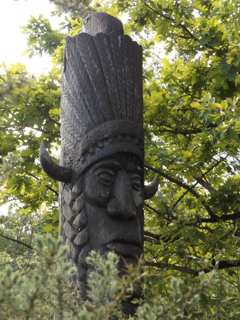 13227654_1008858009151316_4529688991366405055_o