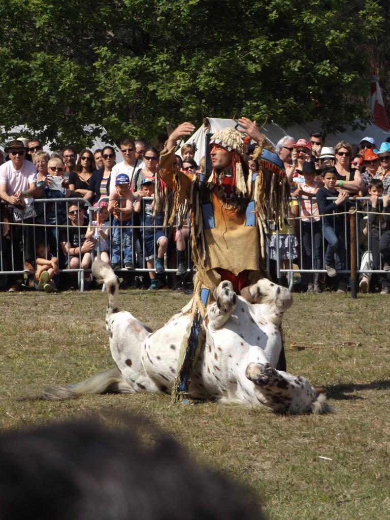 13227714_1008858185817965_3094783929569697712_o