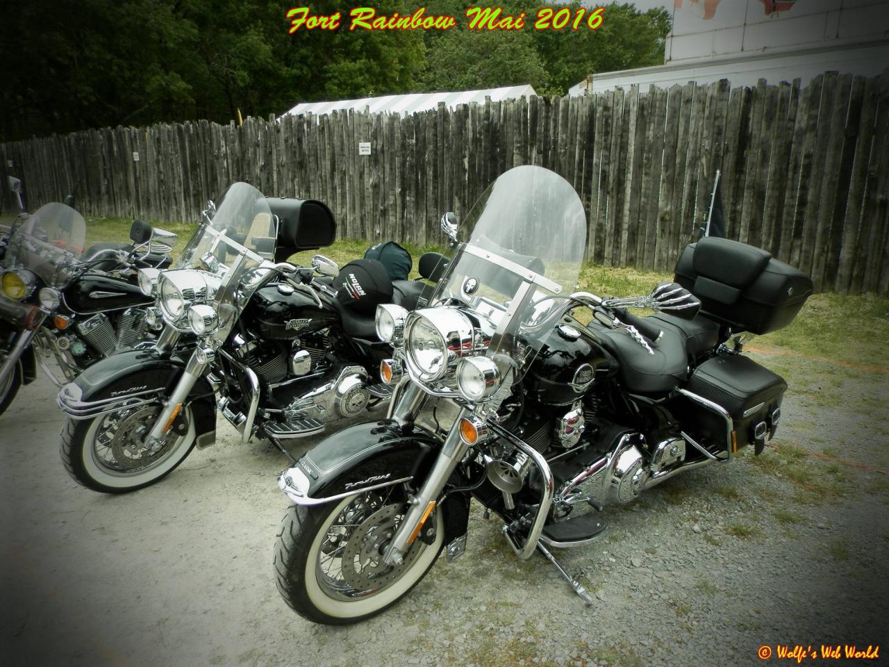 13235184_10209622120818879_2016520173587972120_o