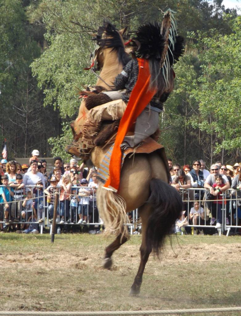 13235294_1008831899153927_7876917016622940215_o