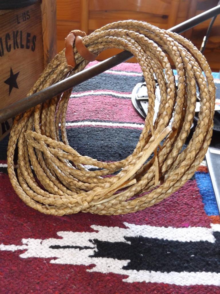 13243866_1008822625821521_4037179367906531248_o