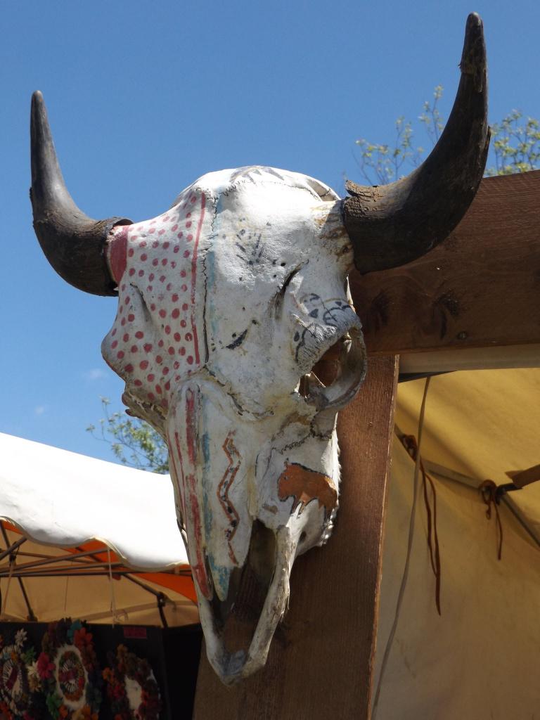 13243967_1008823132488137_1296619351395300135_o