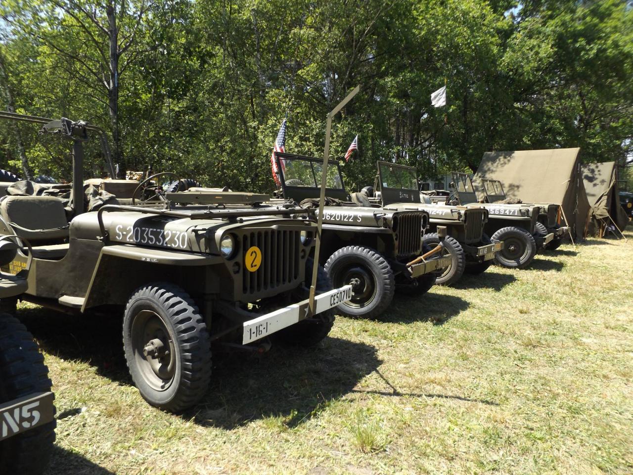 13246253_1008889245814859_8904197936045863769_o