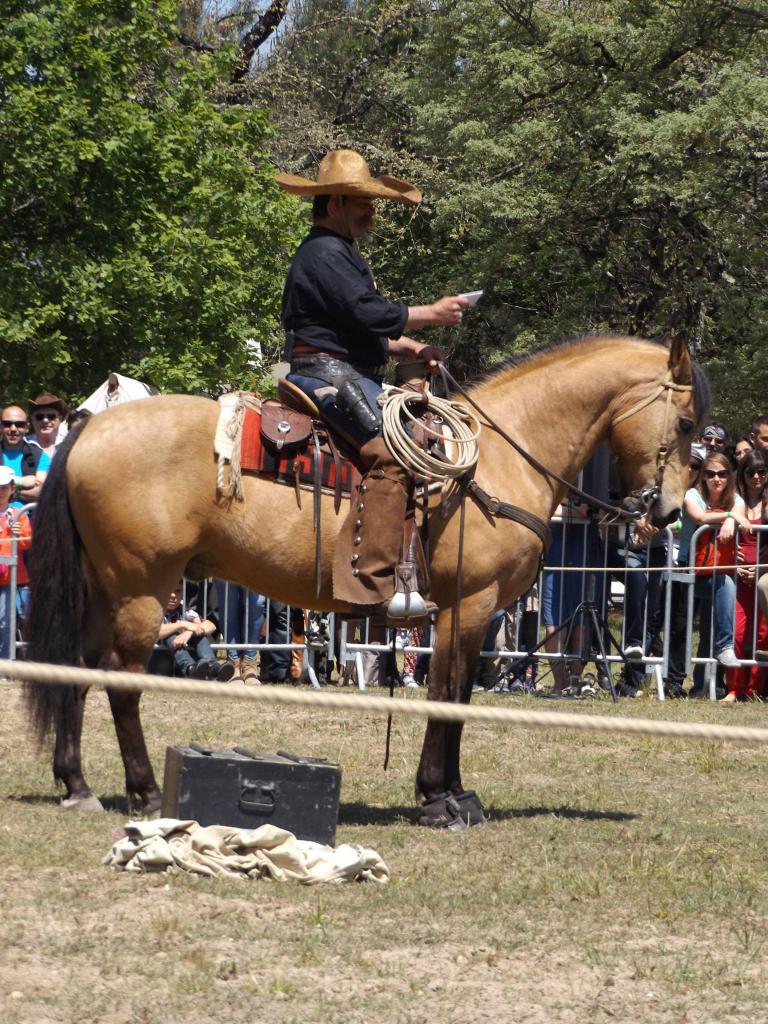 13248453_1008829599154157_7745425810537771113_o