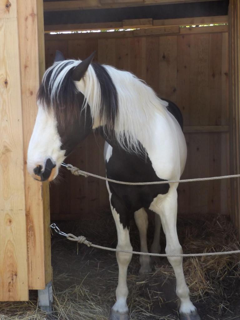 13248523_1008828502487600_9012952893896313401_o