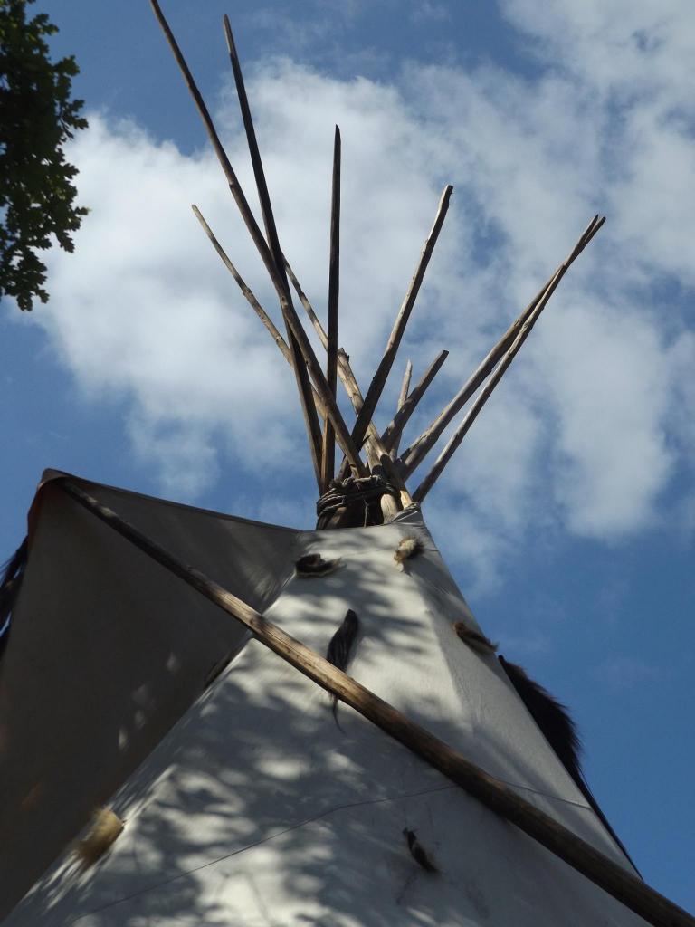 13248555_1008819939155123_1772360587777757130_o