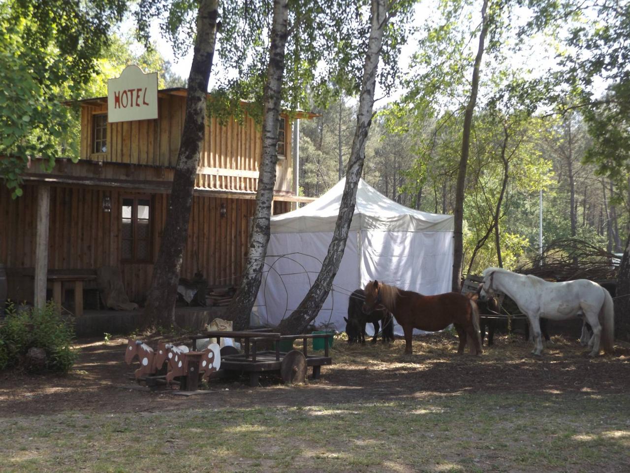 13254679_1008826605821123_1781899903847801651_o