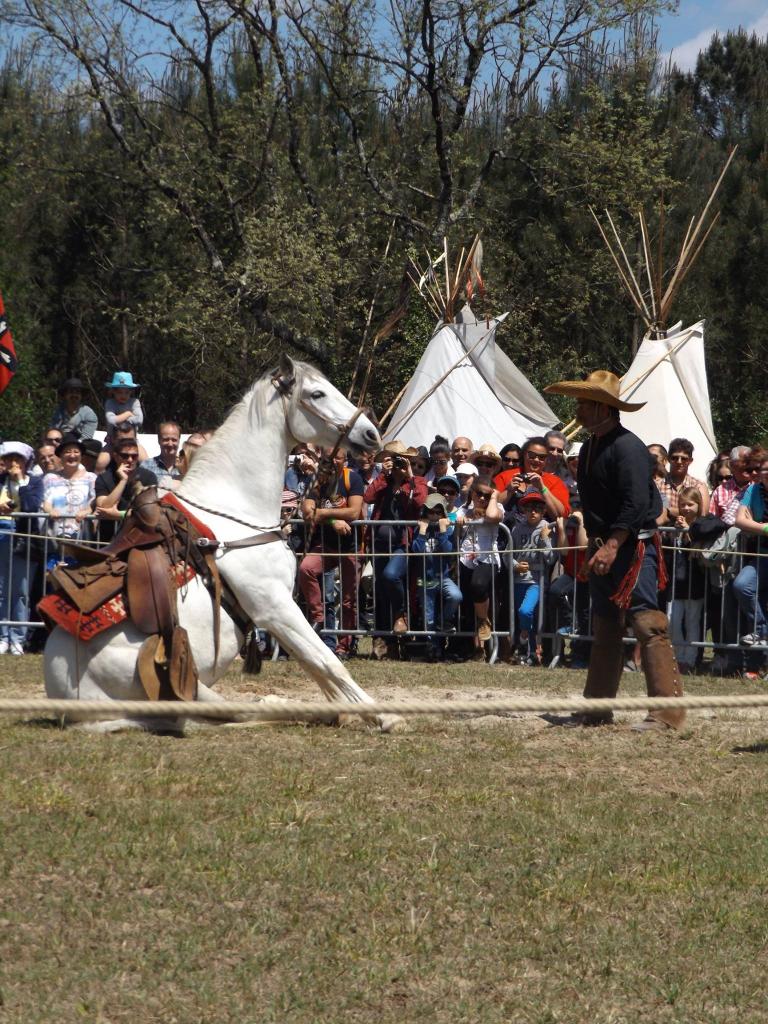 13254864_1008830075820776_4918550934827959646_o