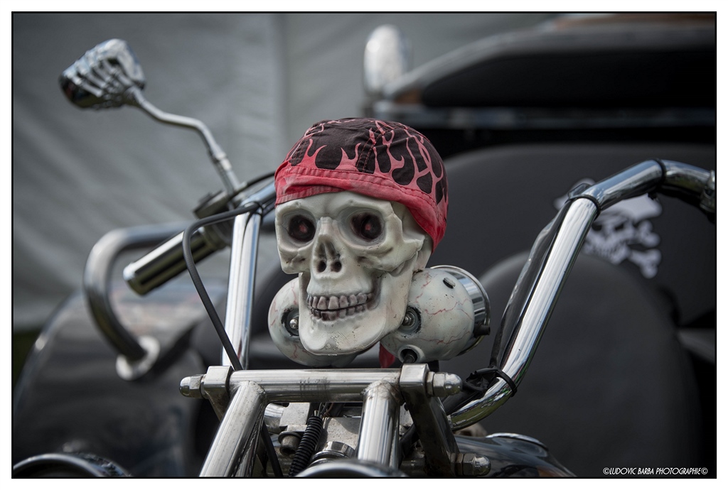 15052016-DSC_4578_GF (Copier)