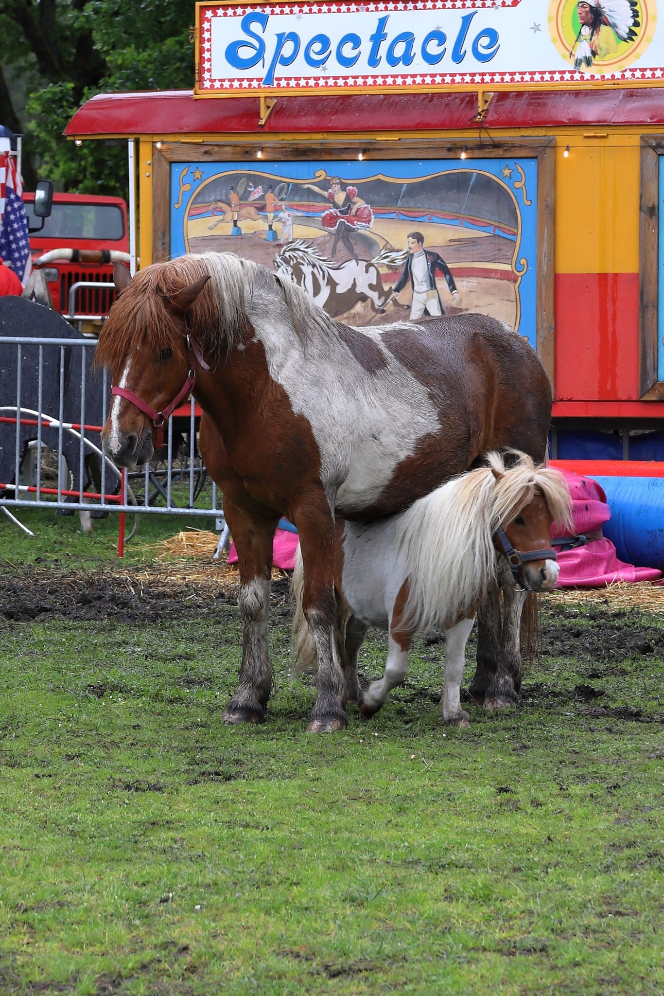 20240504 fort rainbow 159 web