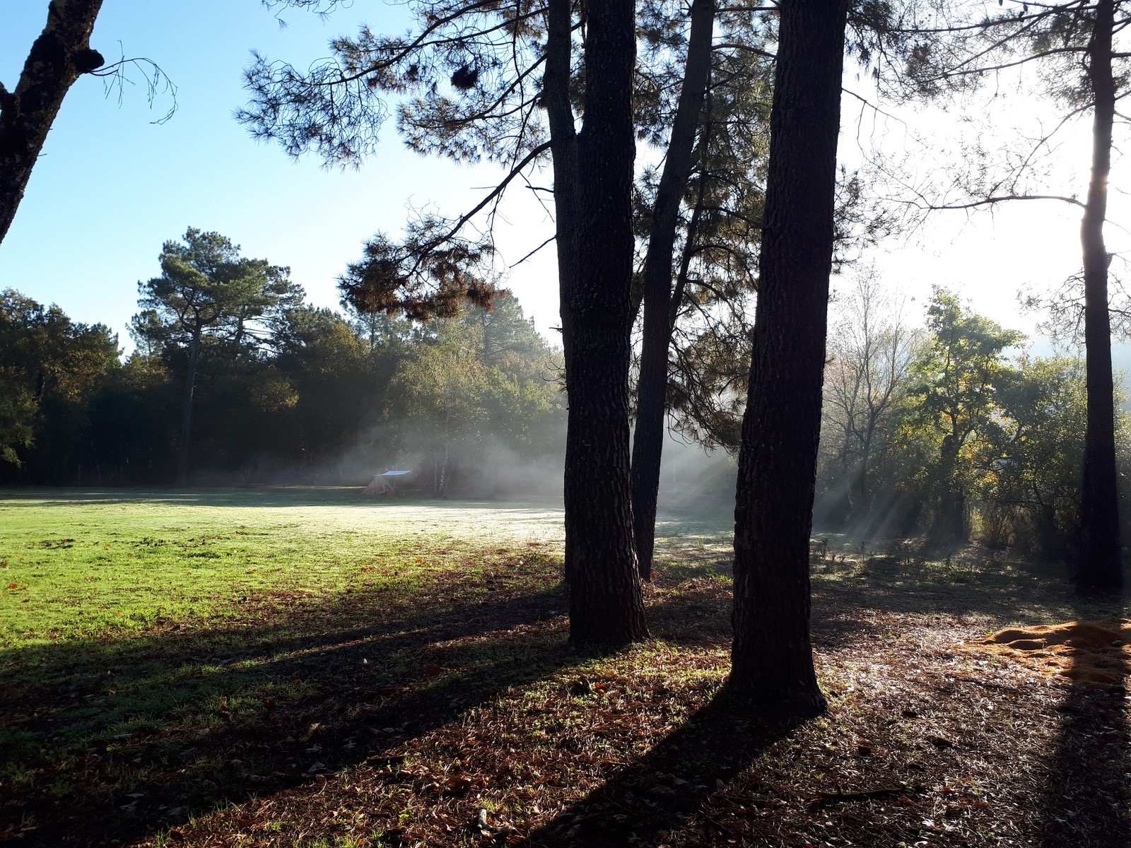 315608000 10221069142295272 315529744673763935 n