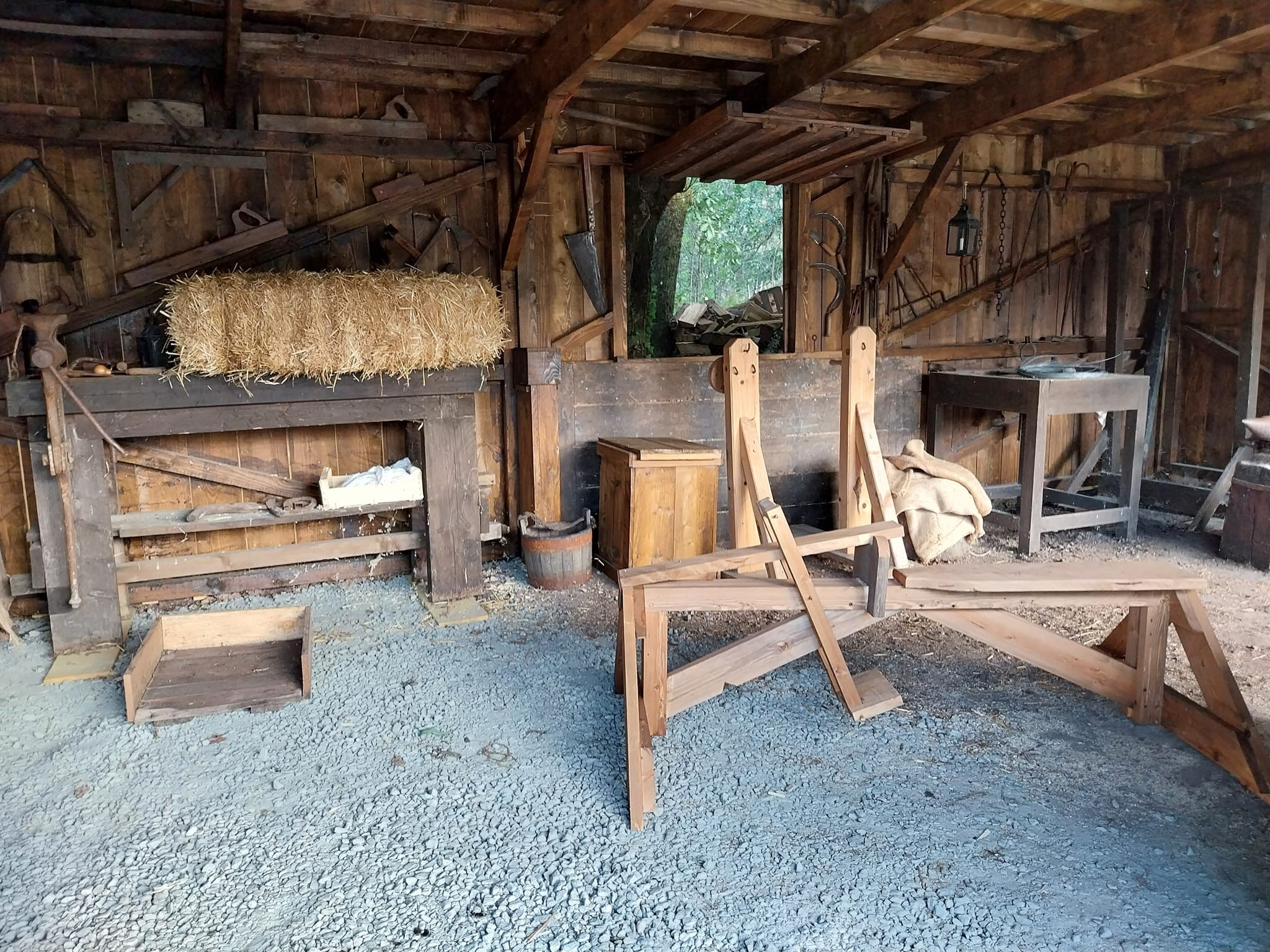 364807773 794859605432051 7580151371338585676 n