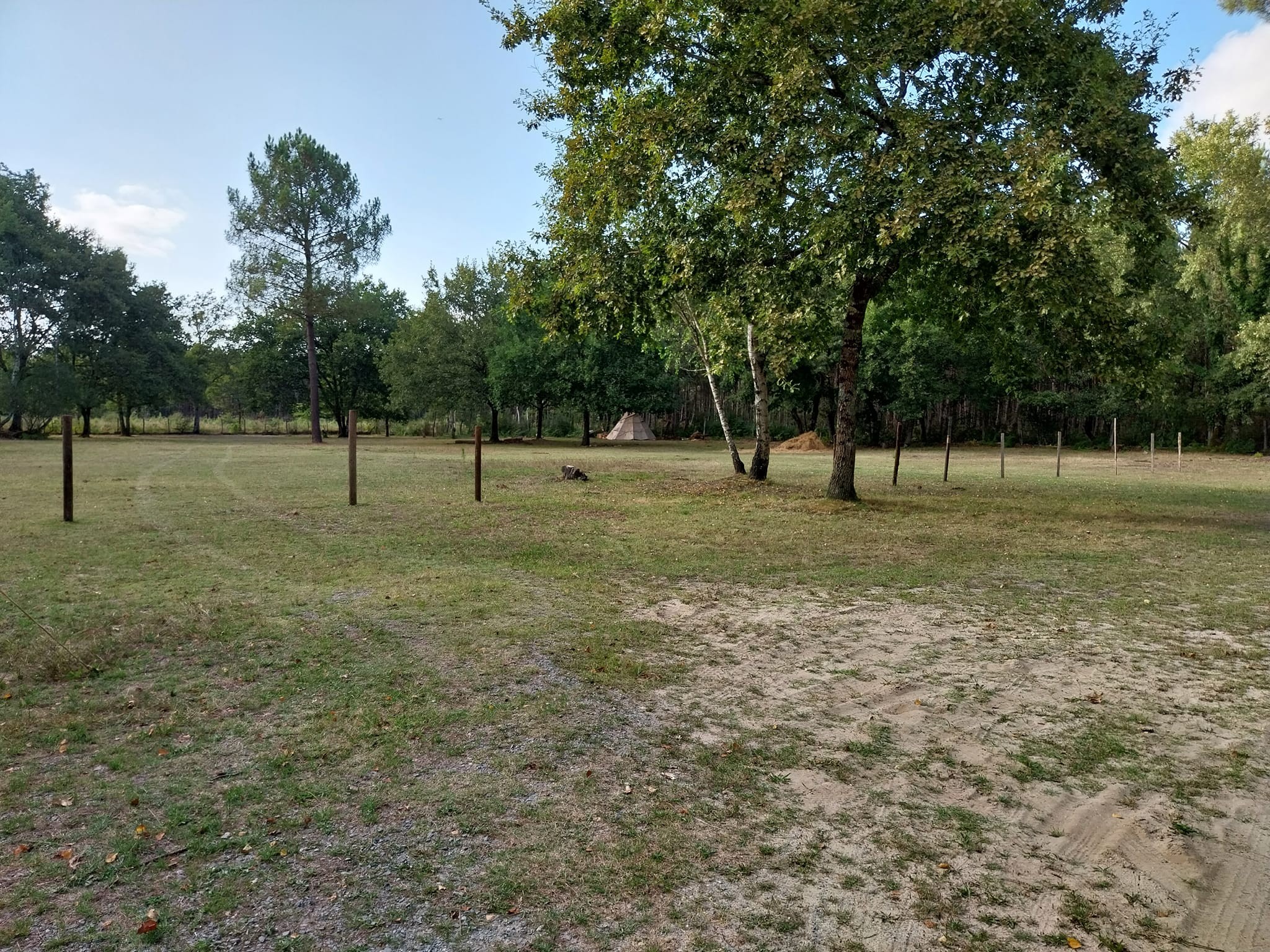 365252857 794858648765480 8791519720755320856 n