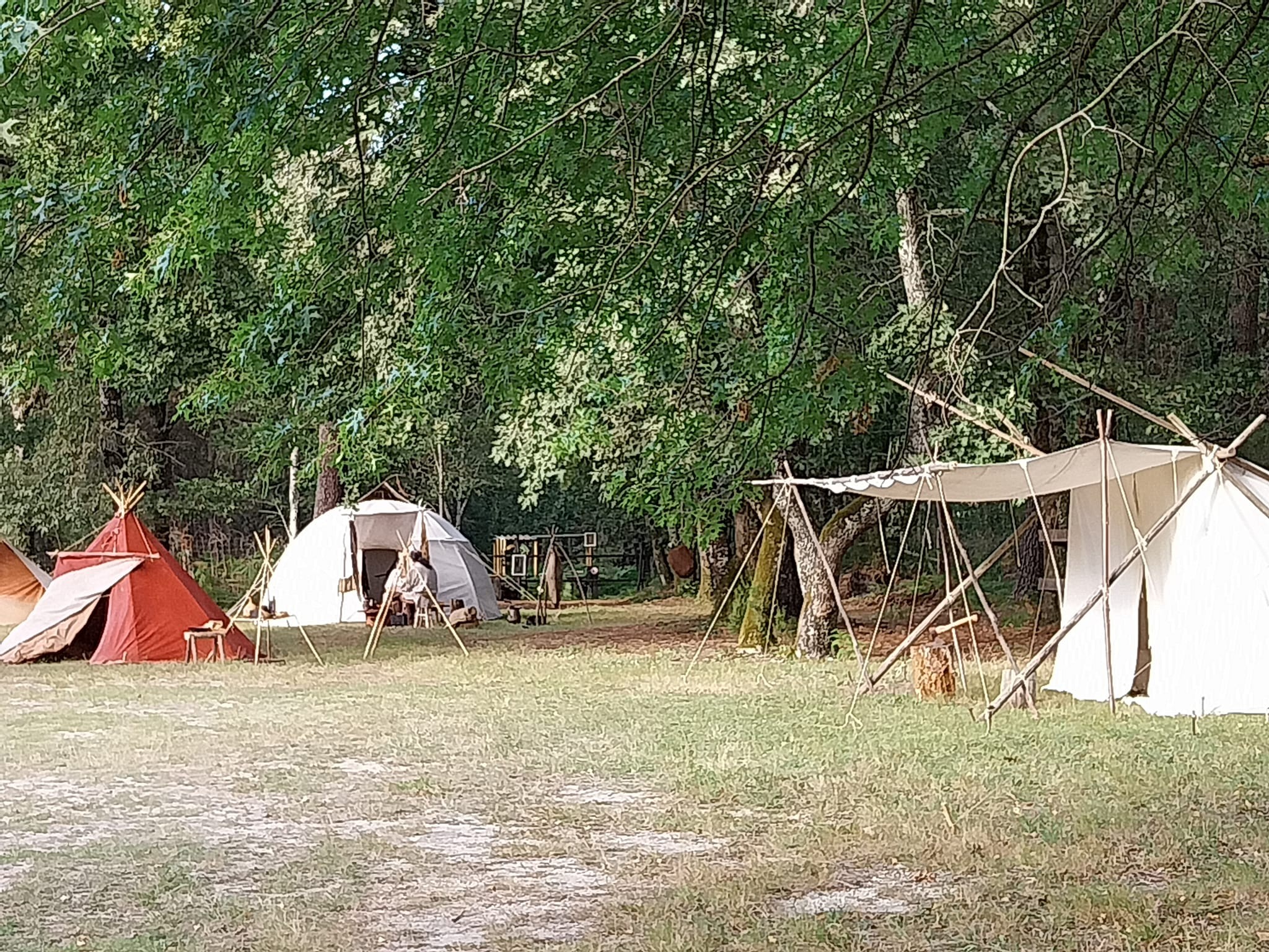 365545280 794858608765484 3288833557161754494 n