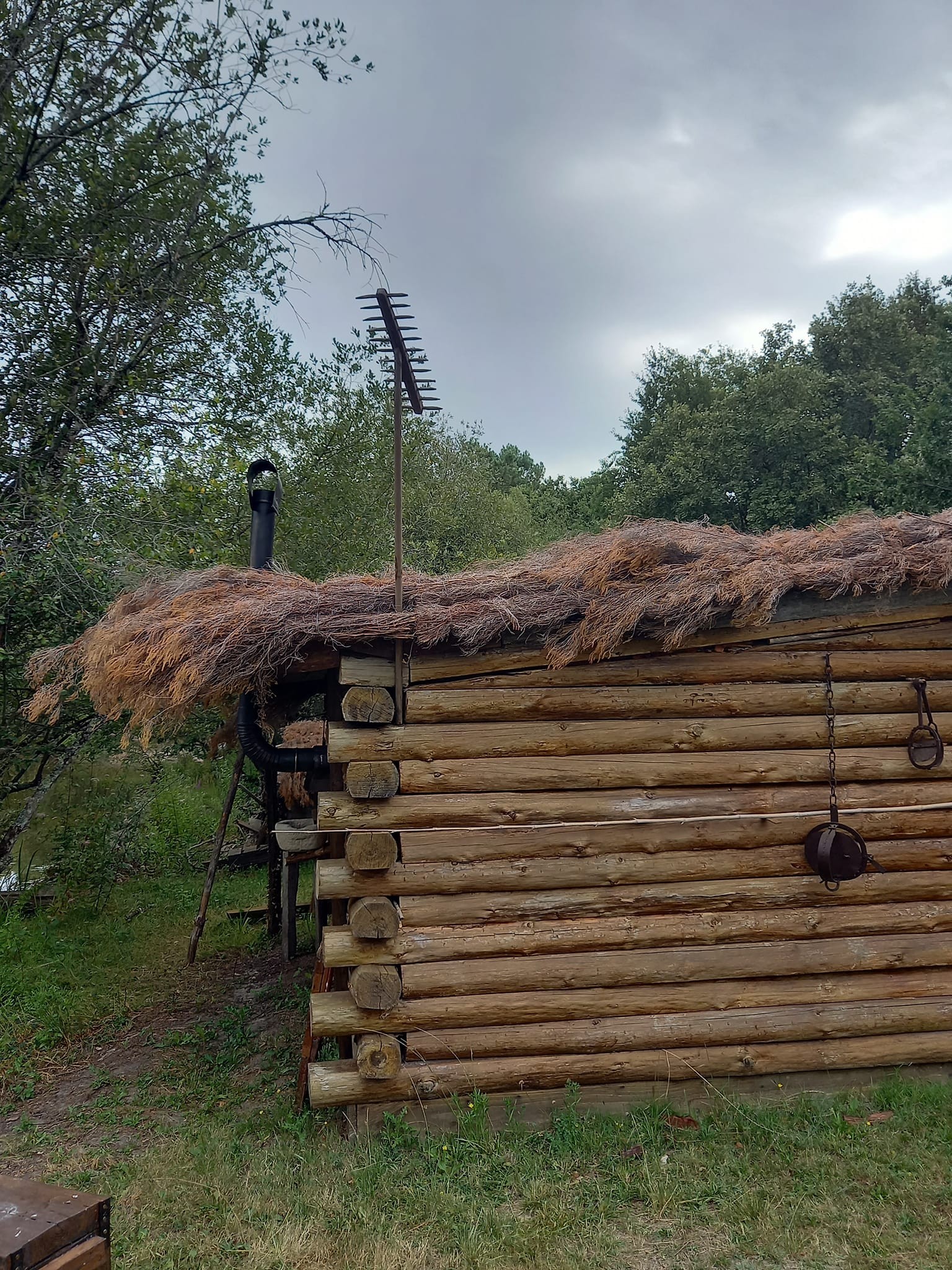 365643169 6977404405626577 8036534836925274280 n