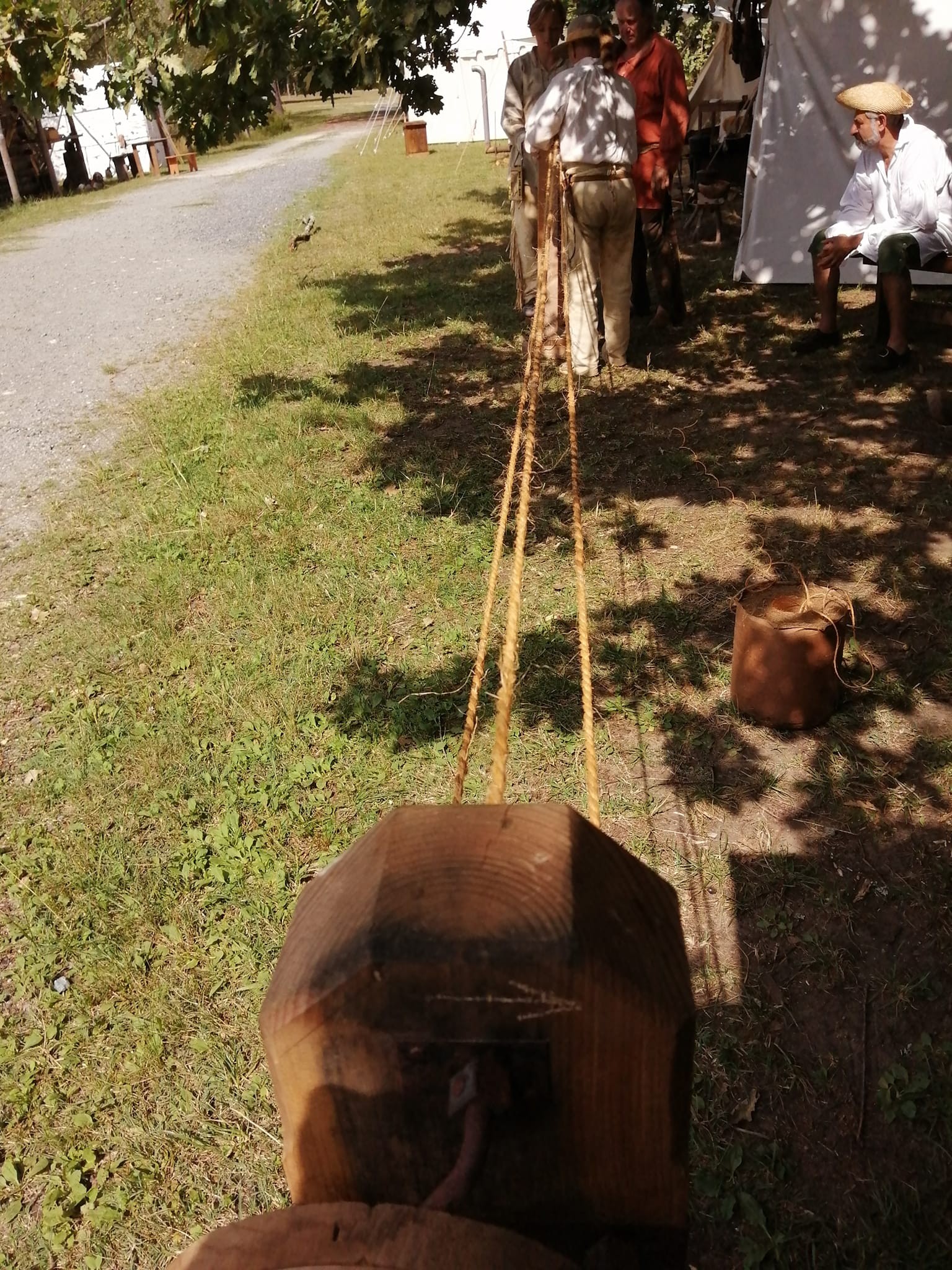 368694303 3111936872447236 5773580576595312490 n