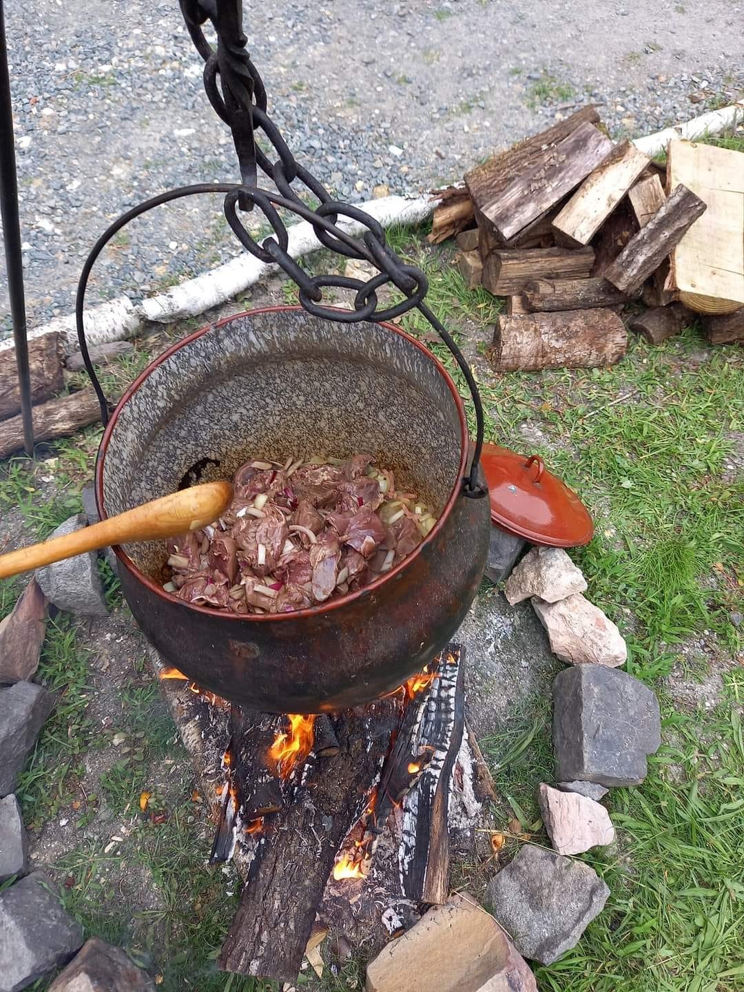 368785935 3111939269113663 2333567364090561578 n