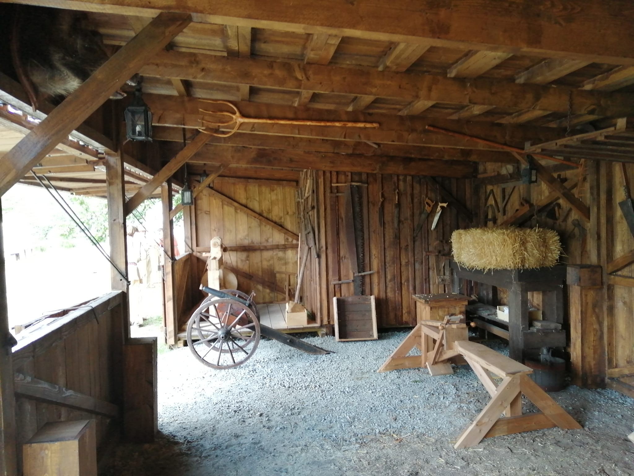 369505032 3111938515780405 6315089316088695385 n