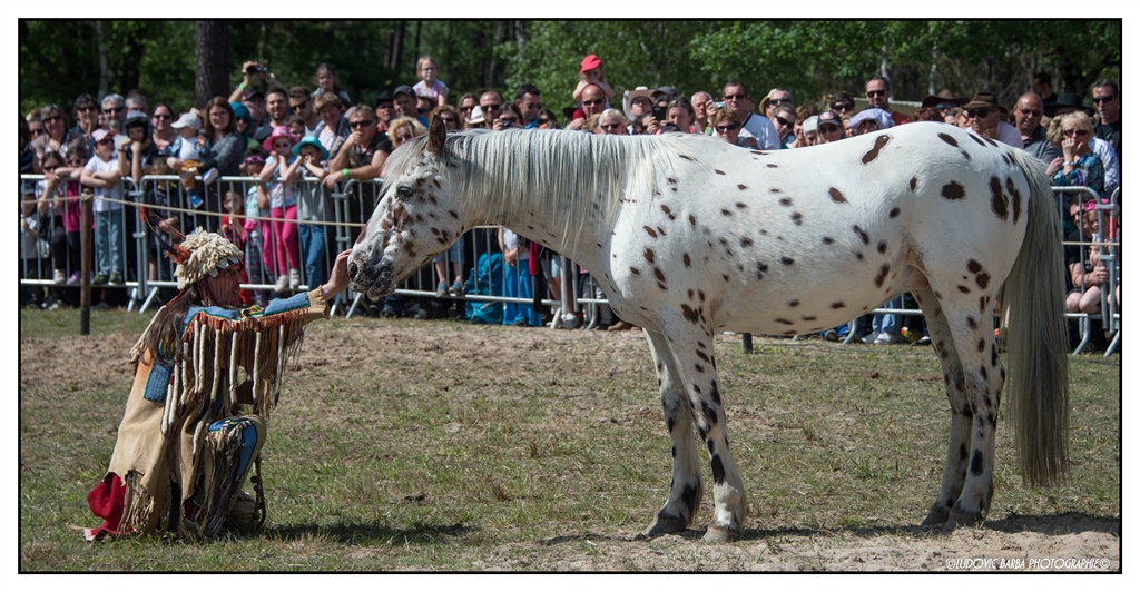 DSC_4348-1_GF (Copier)