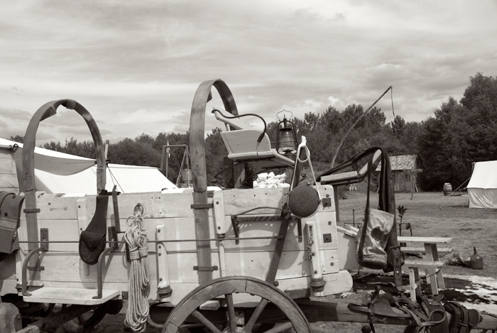 Rendez-vous national - juillet 2011