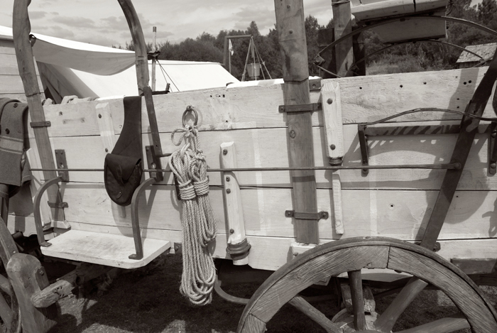 Rendez-vous national - juillet 2011