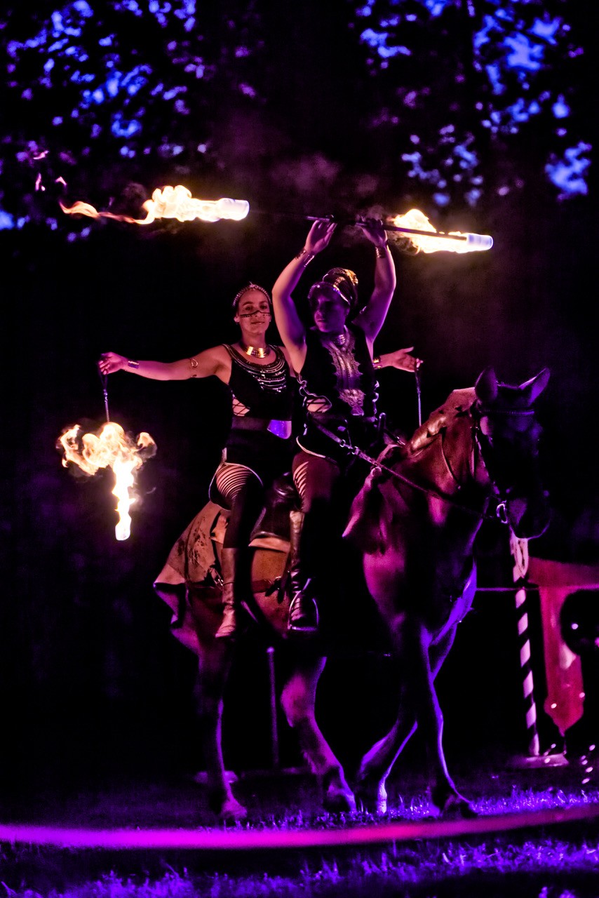 Els les crinieres d evol spectacle nocturne f r 2025 1