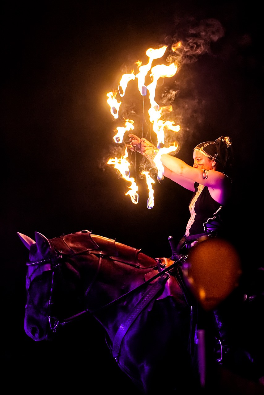 Els les crinieres d evol spectacle nocturne f r 2025 10