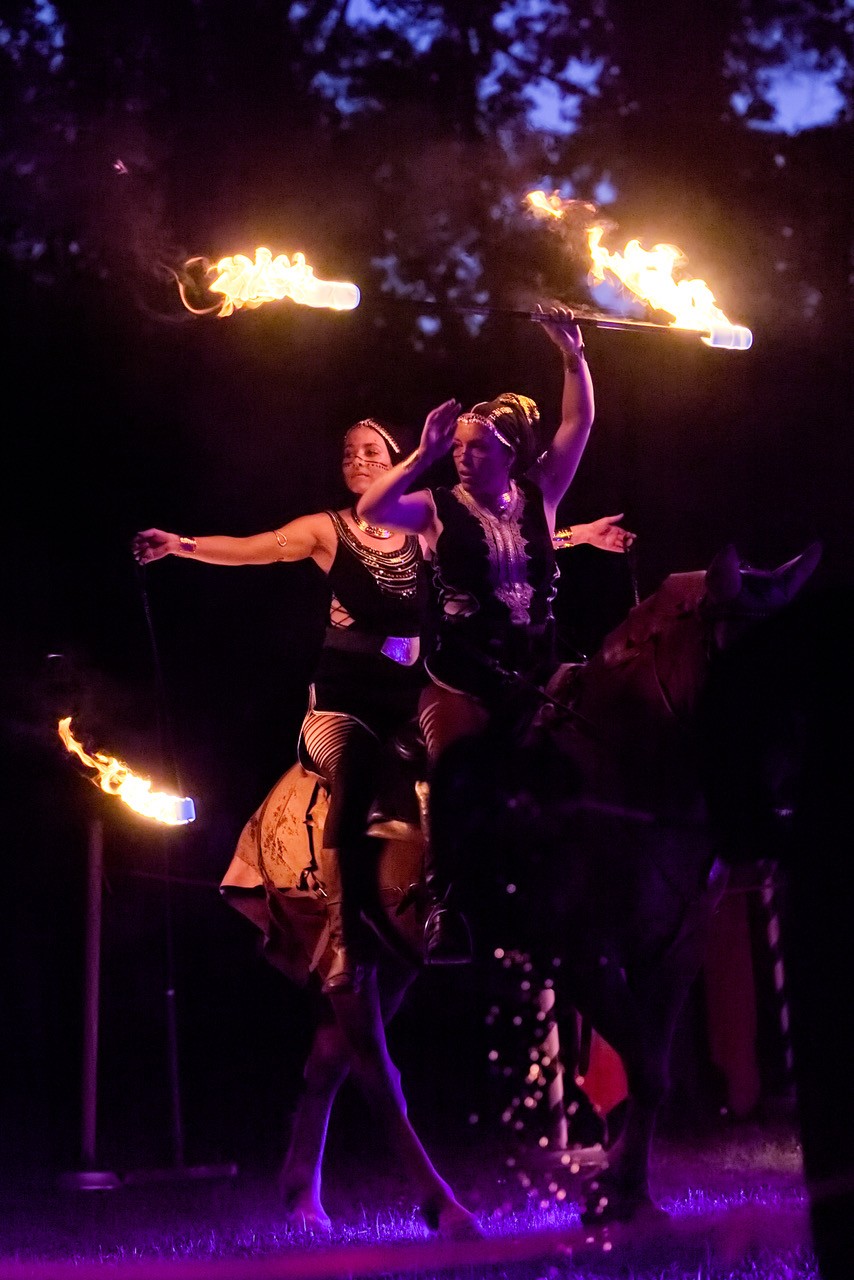 Els les crinieres d evol spectacle nocturne f r 2025 2