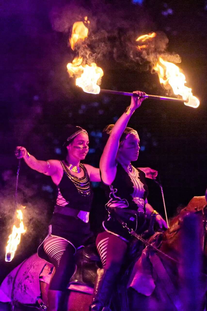 Els les crinieres d evol spectacle nocturne f r 2025 3