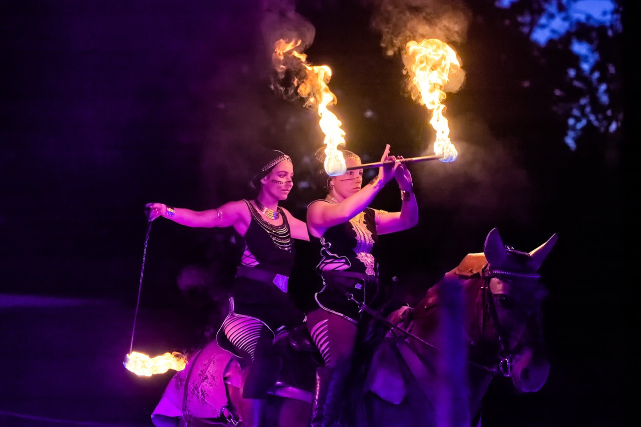 Els les crinieres d evol spectacle nocturne f r 2025 4