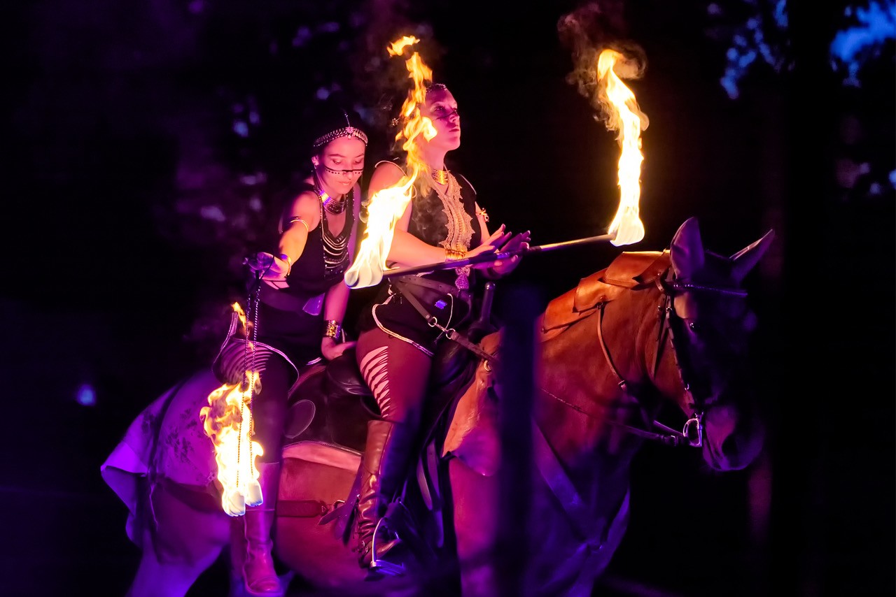 Els les crinieres d evol spectacle nocturne f r 2025 5