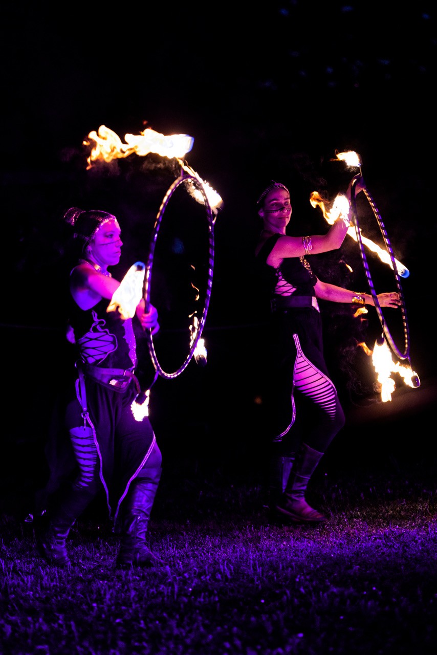 Els les crinieres d evol spectacle nocturne f r 2025 7