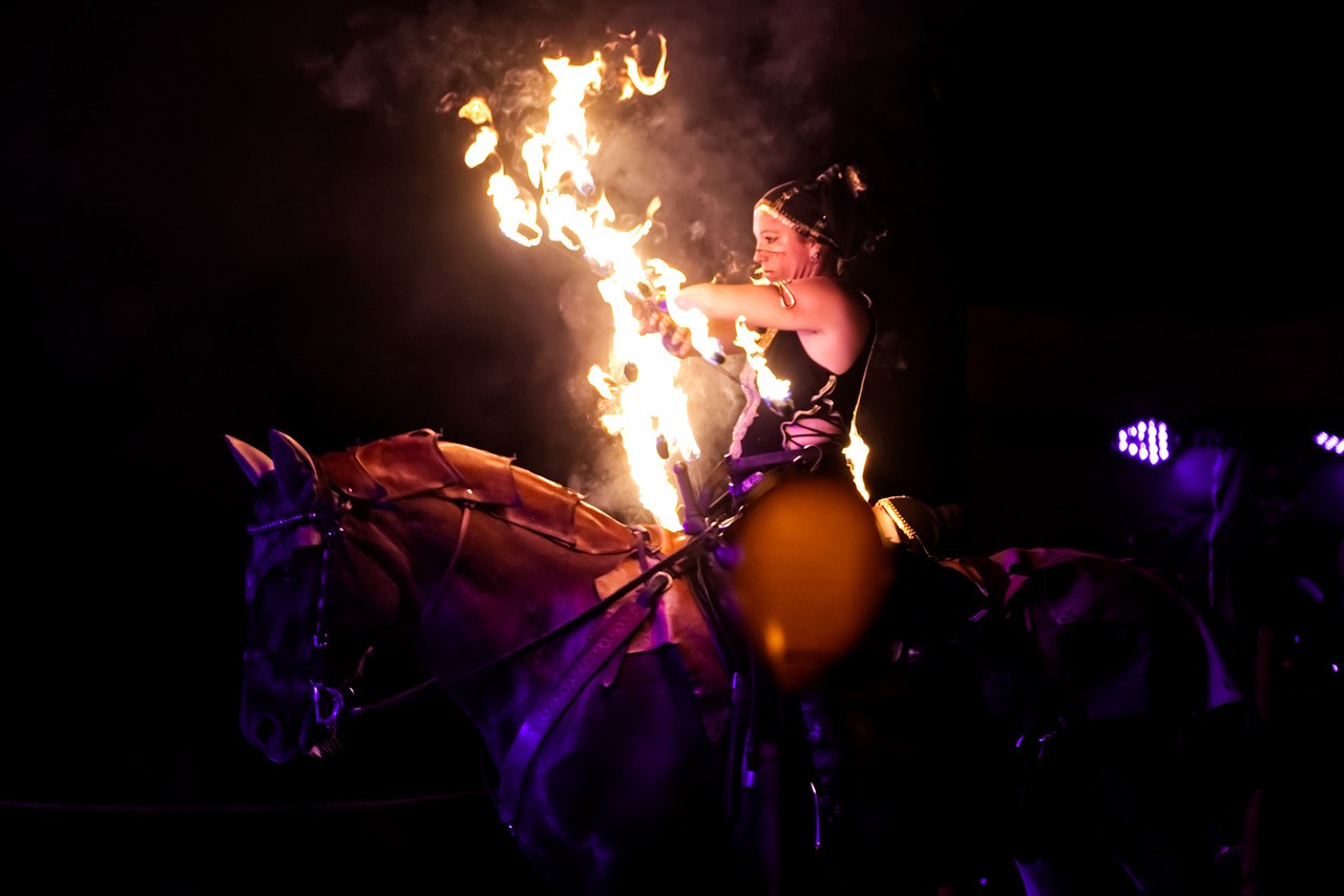 Els les crinieres d evol spectacle nocturne f r 2025 8