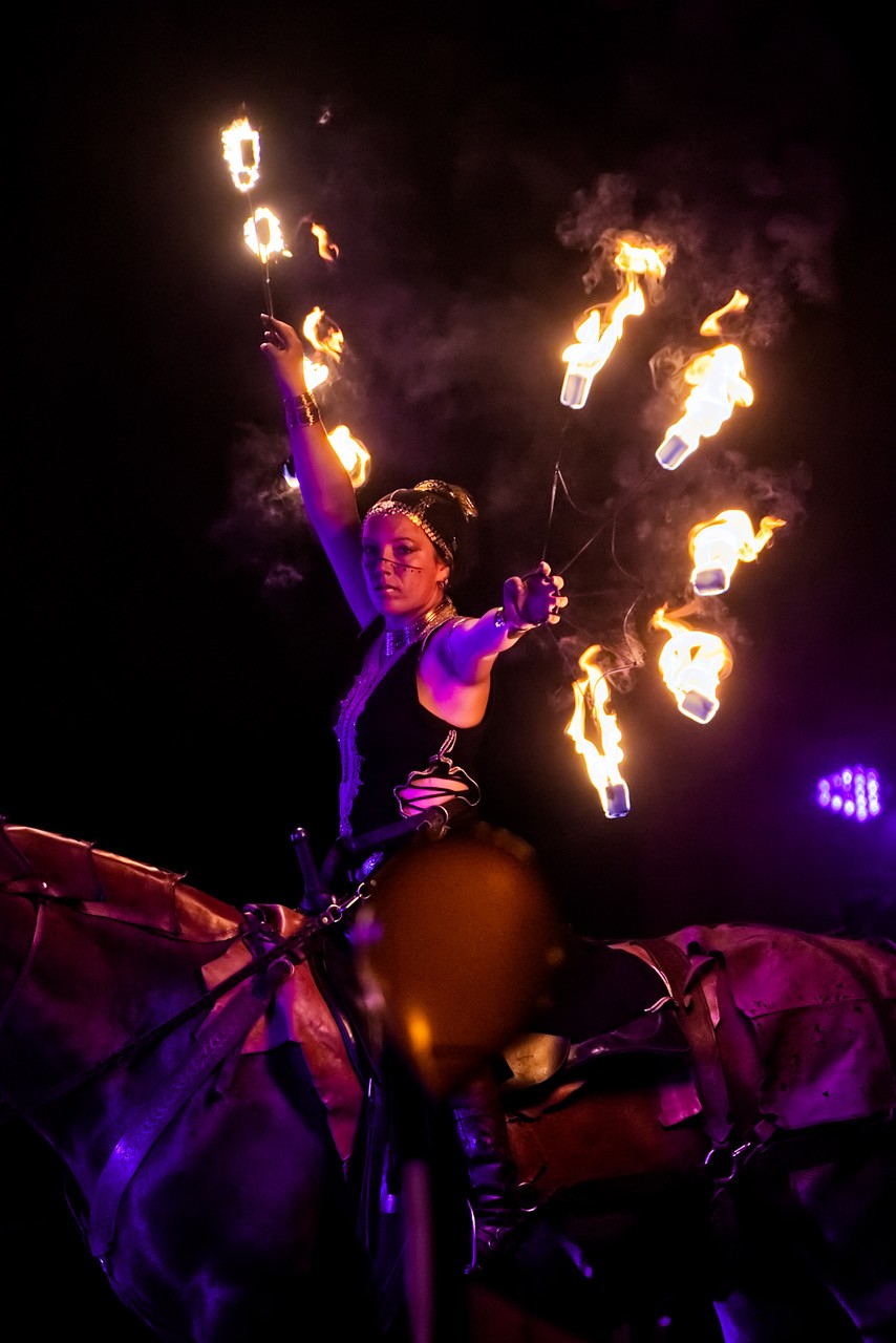 Els les crinieres d evol spectacle nocturne f r 2025 9