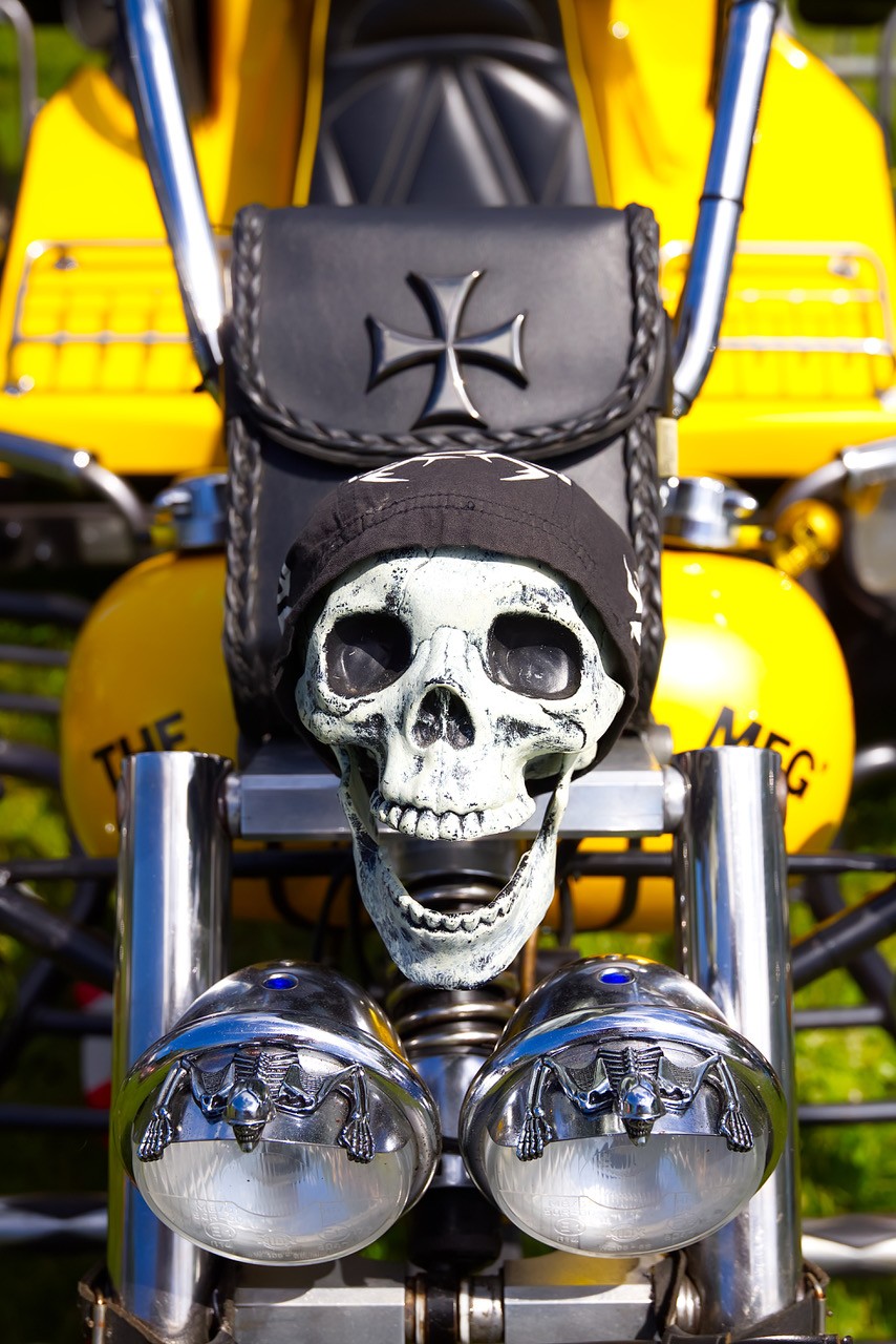 Els vie sur le camp f r 2025 10