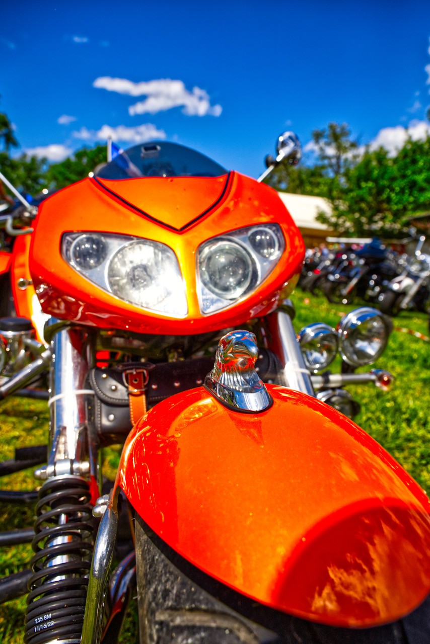 Els vie sur le camp f r 2025 9