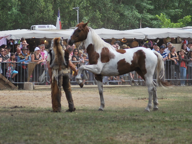 Festival 2011