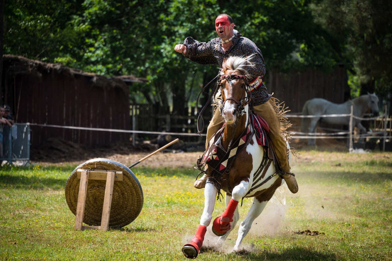 Joelle deshoux chevaux samedi apres midi 2 1