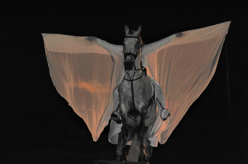 photo by Francis (162)